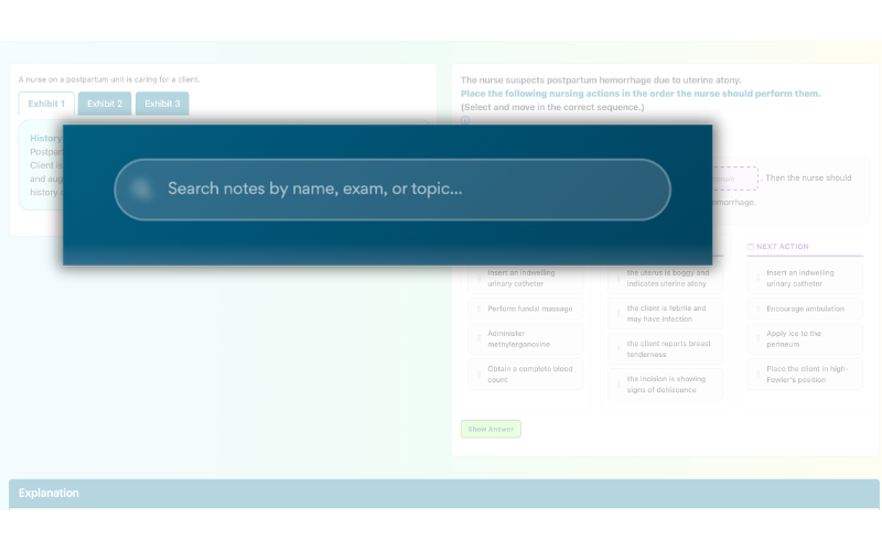 Notes management interface with search bar and inline editing